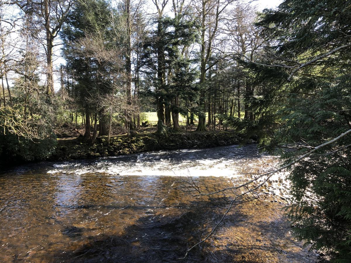 Pucks Glen Lodges, Rashfield, By Dunoon Buitenkant foto